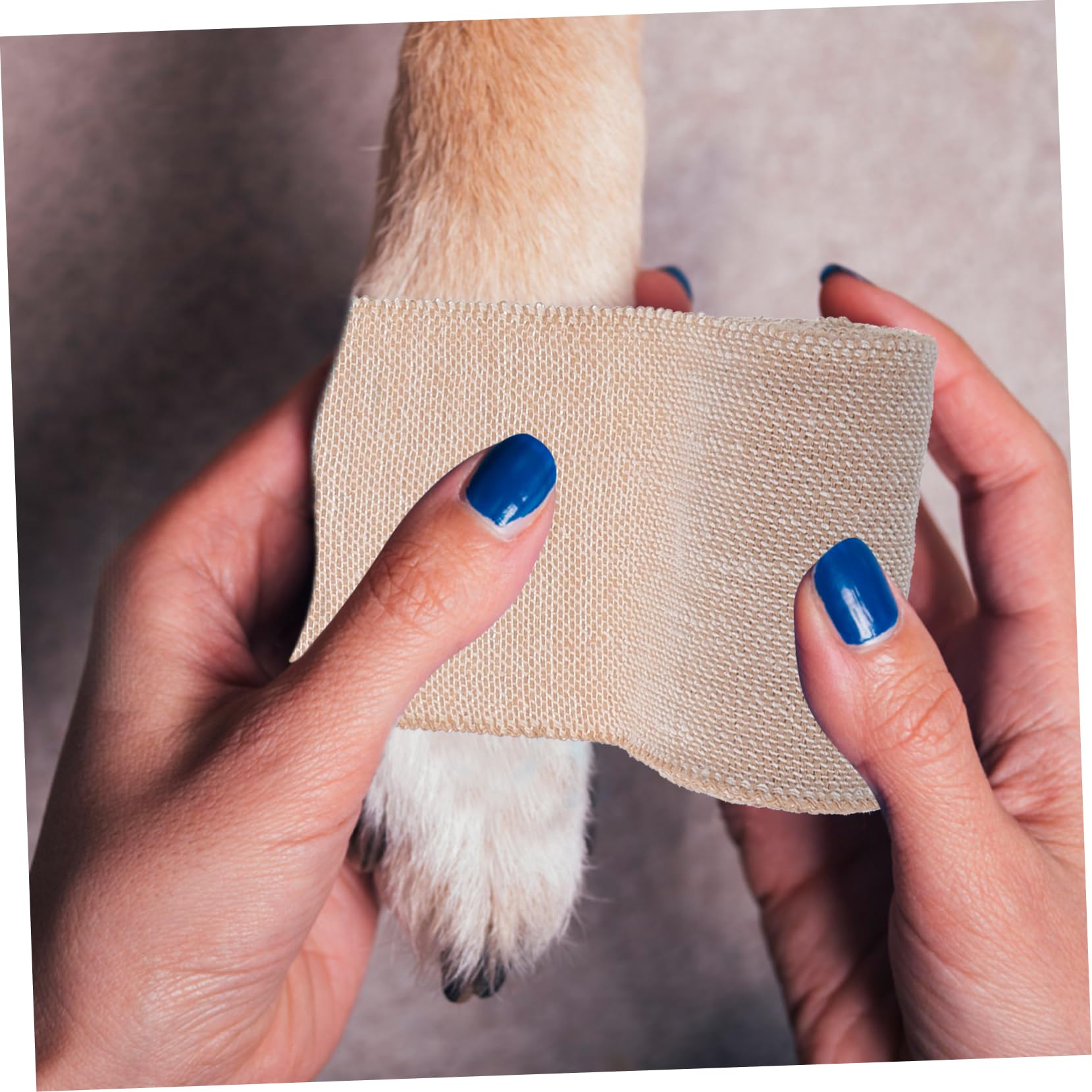 CALLARON 4 Ensembles Bandages Auto Adhésifs Élastiques Pour Doigts Lot De Bandages Non Tissés Pour Animaux Protection Sportive Couleur 5 Pièces * 4