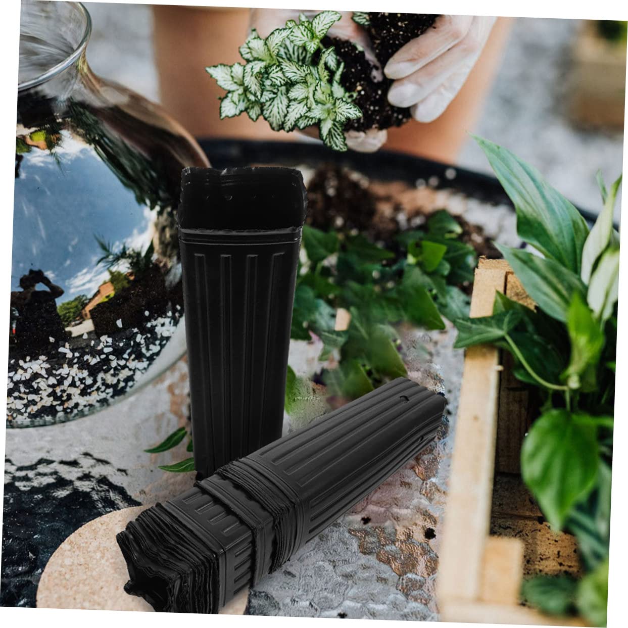 BESPORTBLE Lot de 60 Pots de Démarrage en Polypropylène Épais Noirs 10x30 Cm pour Pépinière D’Agrumes et Jardinage Extérieur, Pots Nutritifs Profonds pour Plantation de Fleurs, Arbres