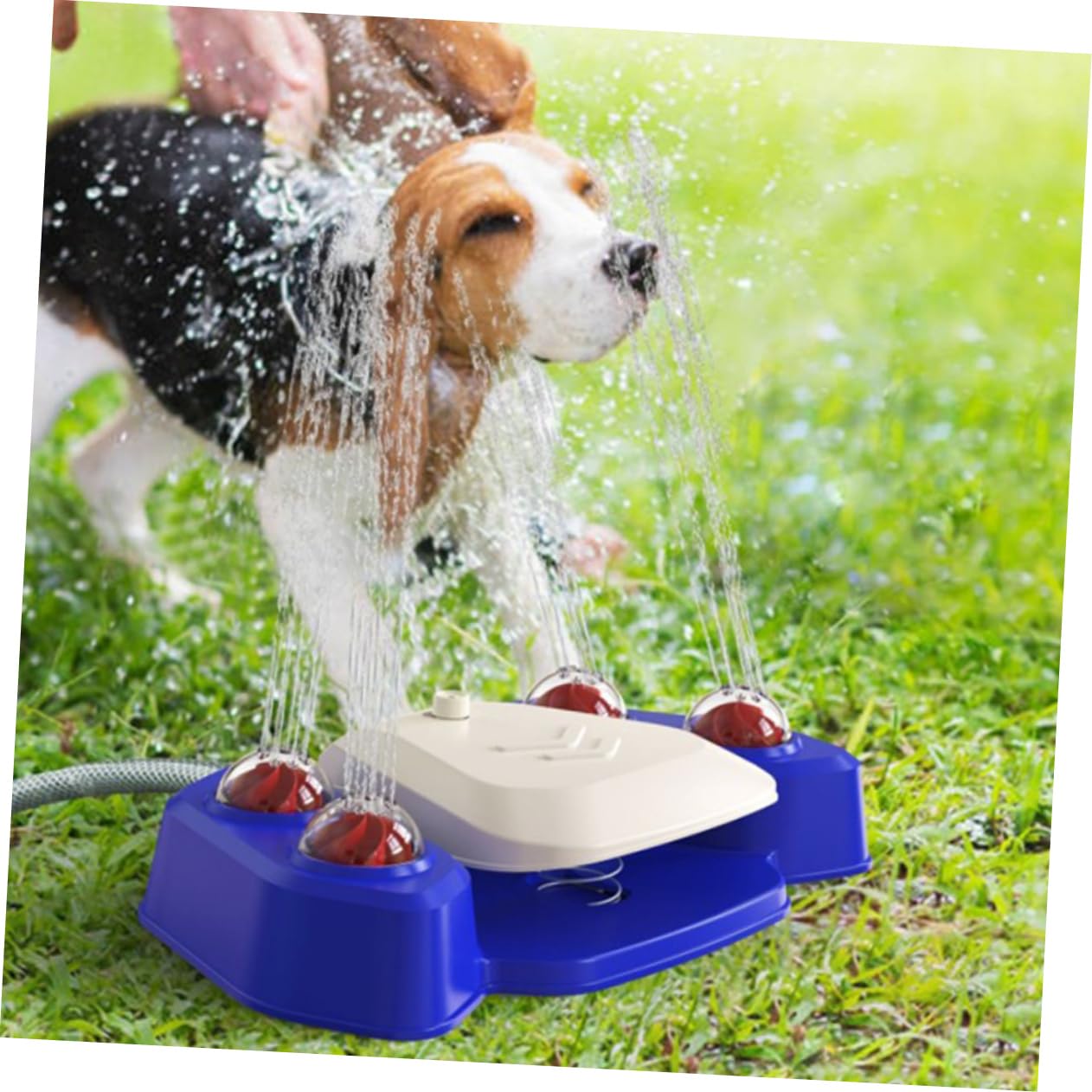 Multifunktionales Hundebadespielzeug mit Wassersprinkler aus Abs, Blau