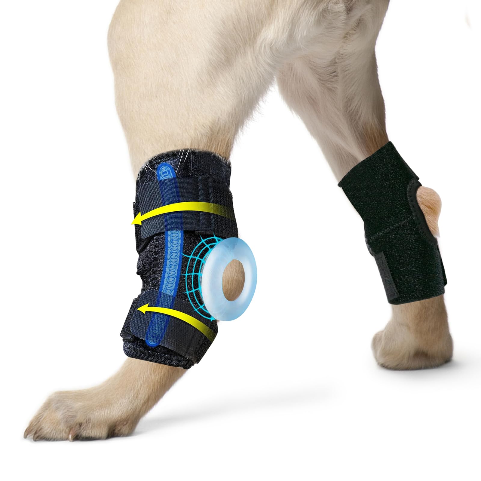 Dog Leg Braces for Back Leg, 1 Pair Dog Leg Sleeve for Rear Leg Hock Joint & Ankle, Ease Pain and Inflammation, Heal and Prevent Dog Sprains, Hock Injuries, Arthritis and Torn ACL (Size: M)