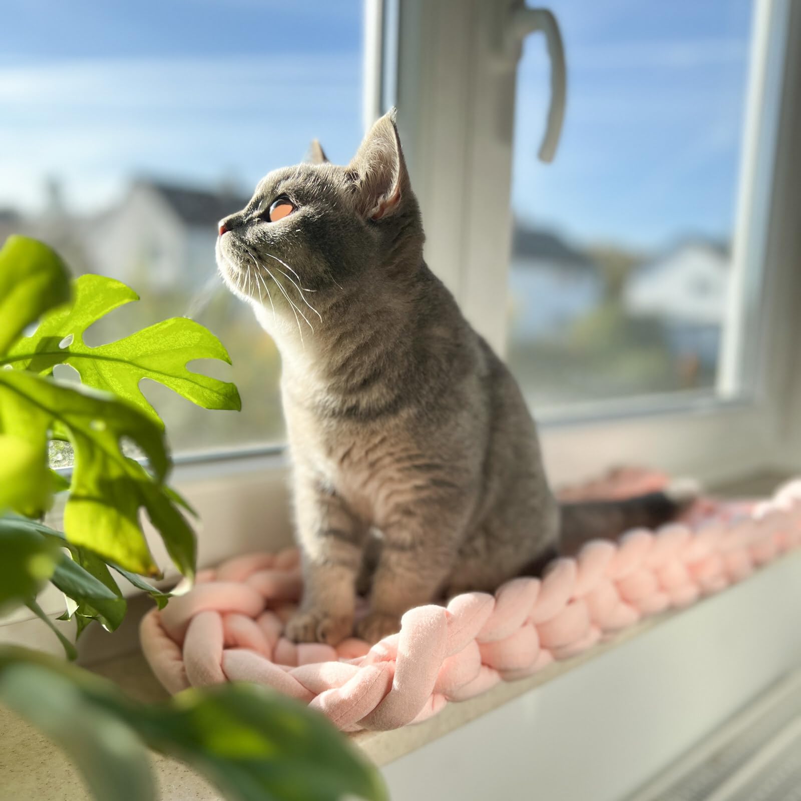 Aumüller Fensterbankliege für Katzen - Katzenbett aus Grobstrick - Rosa