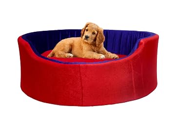 Amit Brothers Red Round Shape Pet Bad (Large)