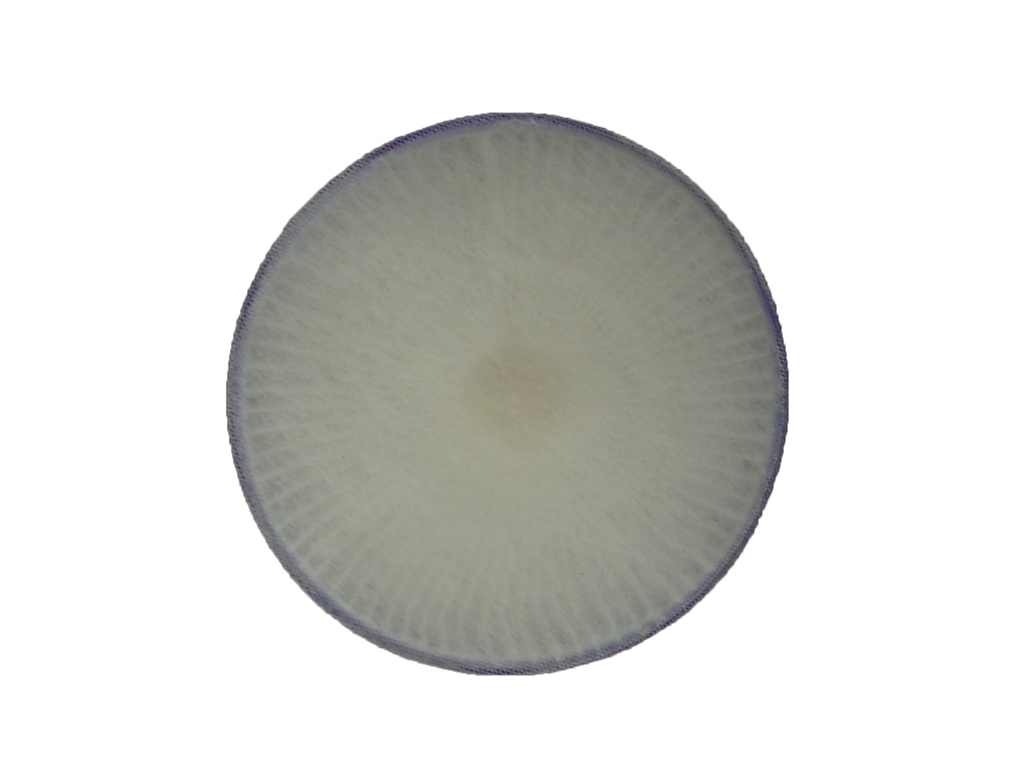 Dyson Filter, Premotor Dc40 Rinsable