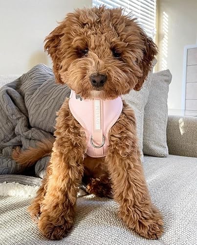 Miniatura 4 de Arnés para perro, color rosa bebé, diseño de cuero de neopreno, deportivo, pequeño, mediano, grande, sin tirones, transpirable, ligero, para