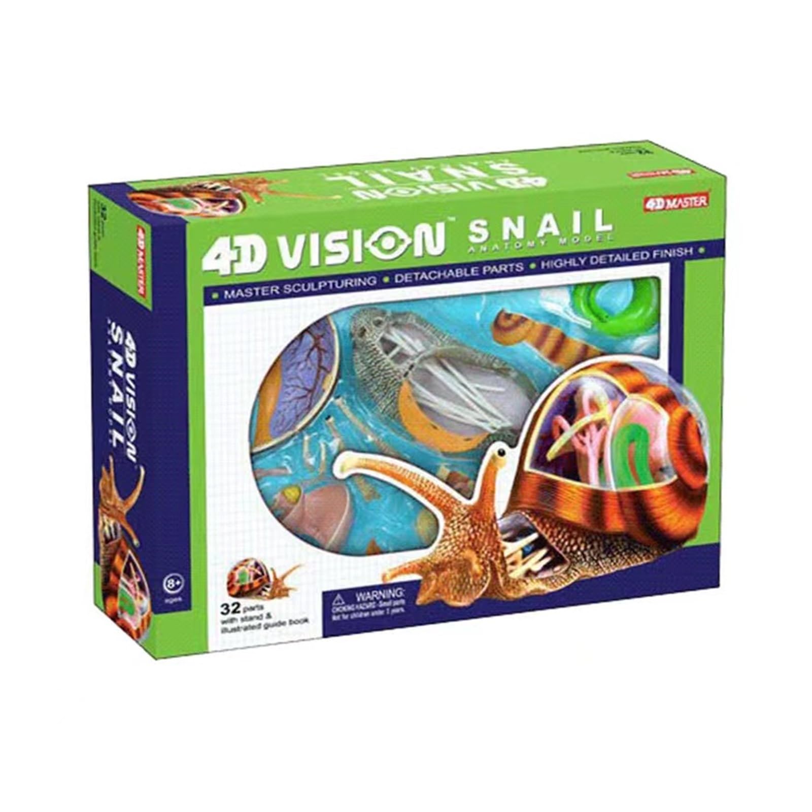 4D Visual Snails Anatomisches Modell – 32 Abnehmbare Organe Und