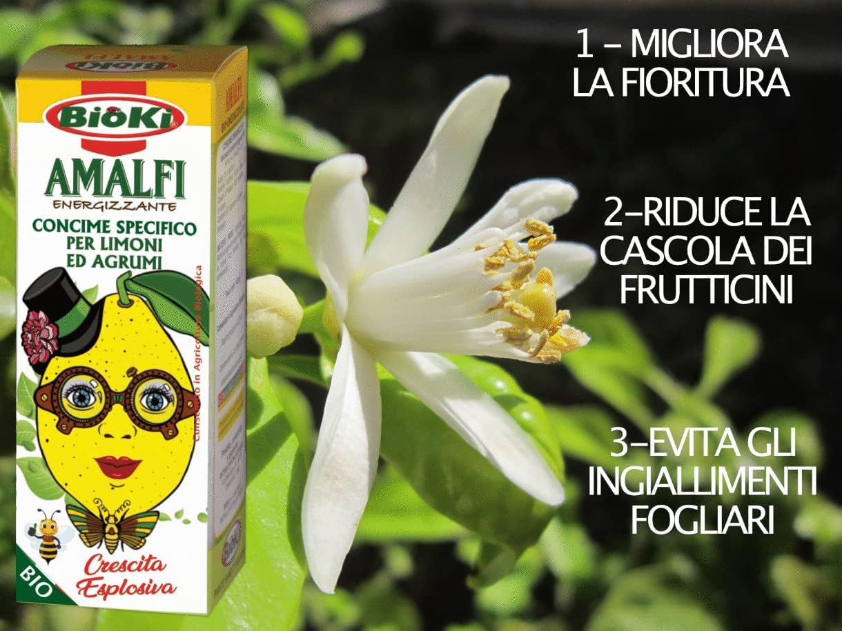 [Antika Officina Botanika] Amalfi concime biostimolante per Limoni [migliora la fioritura] [Evita la cascola dei frutticini] [Concime Energizzante 100 g]. (AMALFI TRIOPACK)