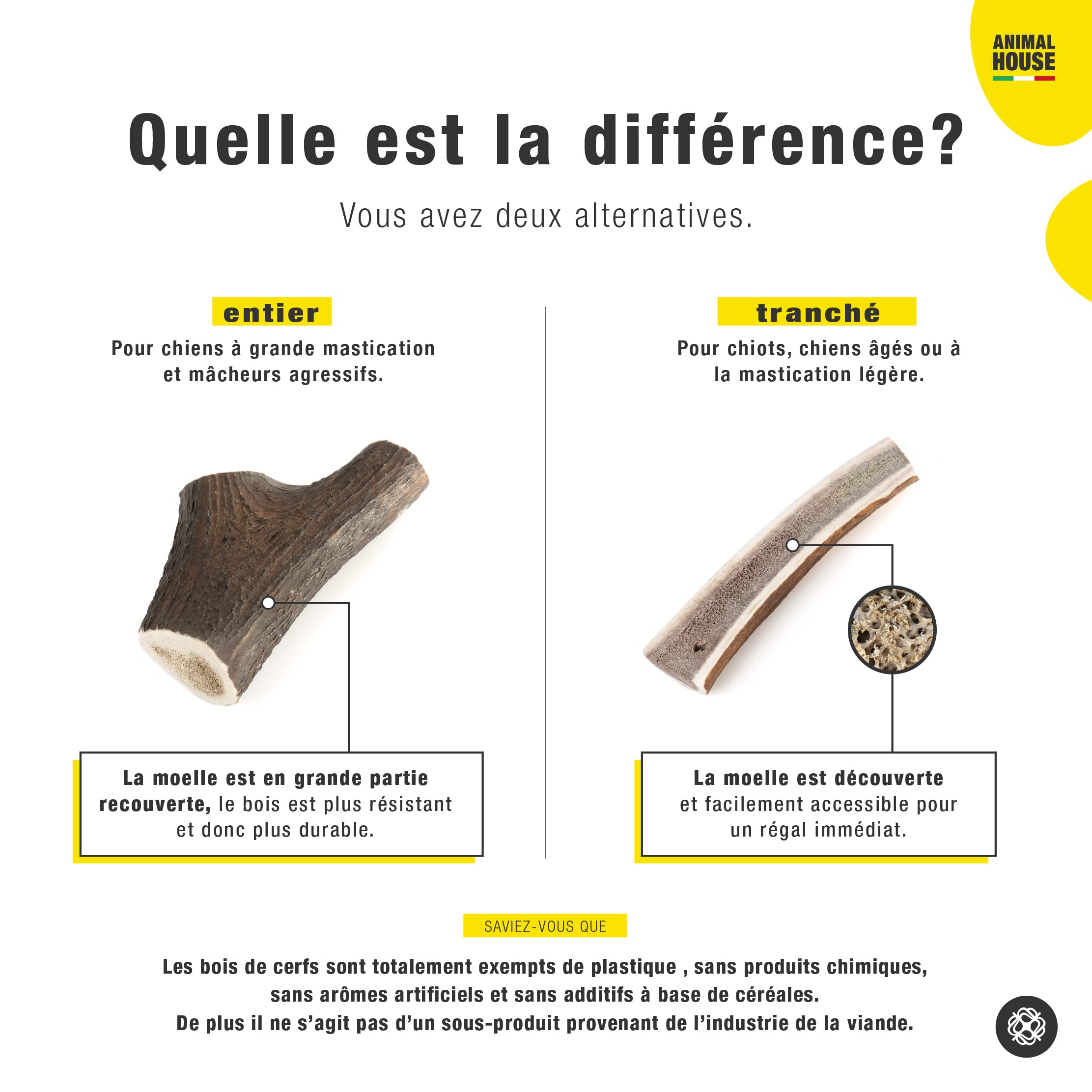 Bois De Cerf Pour Chiot Animal House - Cornes De Cerf Pour Chiens Entiers -  100% Chiens De Corne Pour Chien, image size:2223x2223