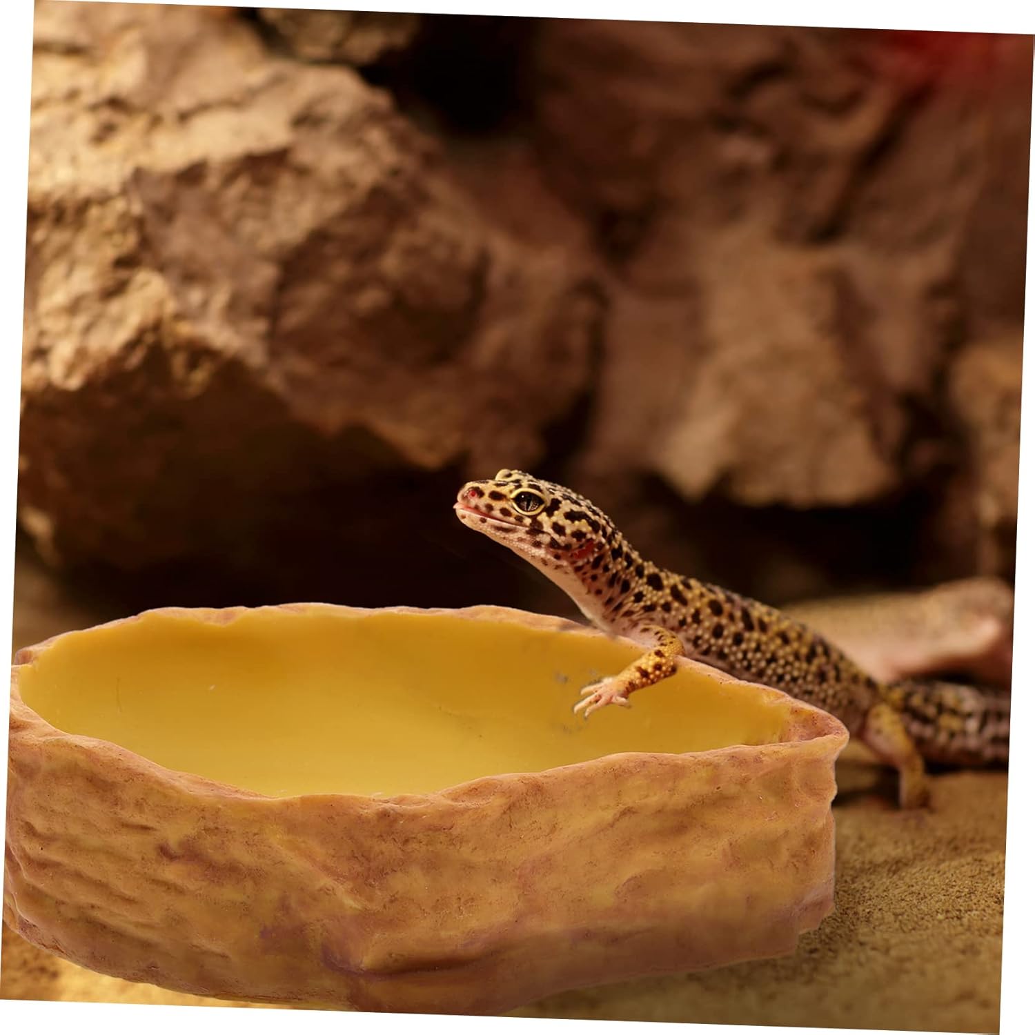Kisangel Decorative Pet Food Bowl Reptile Water Dish Reptile Food Holder Simulated Rock Landscaping Basin