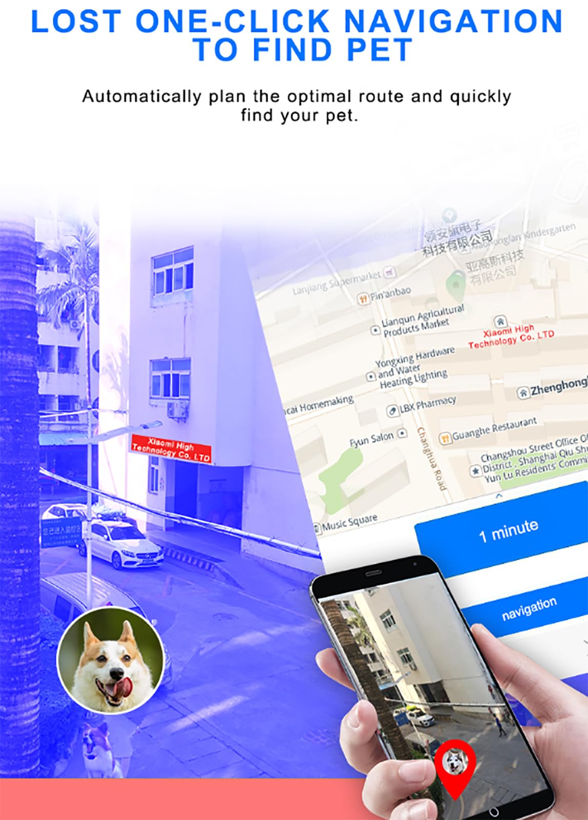 Tracker GPS per animali domestici con monitoraggio in tempo reale, monitoraggio APP e cronologia di 90 giorni per cani e gatti
