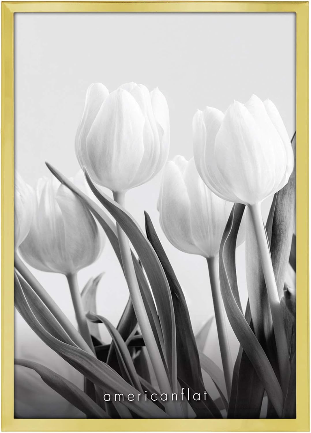 Americanflat Modern Metal 5x7 Picture Frame in Gold - Use as Floating Frame for 4x6 Picture - Painted Iron with Shatter Resistant Glass - Horizontal and Vertical Formats for Tabletop Display