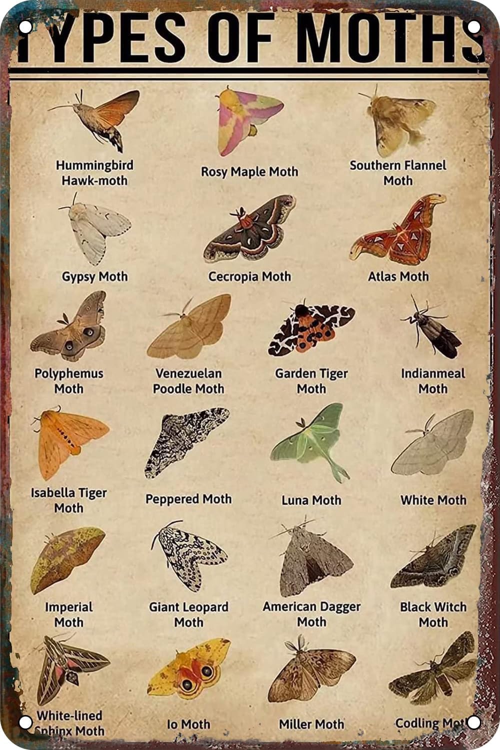 Acdoet Tin-19 Types Of Moths Knowledge Metal Tin Sign For Garage Home Decor Farm Garden Wall Art Metal Signs For Home Bathroom Kitchen Garden Man Cave Decor Garage Yard Sign Coffee Wall Decor 8X12 Inch