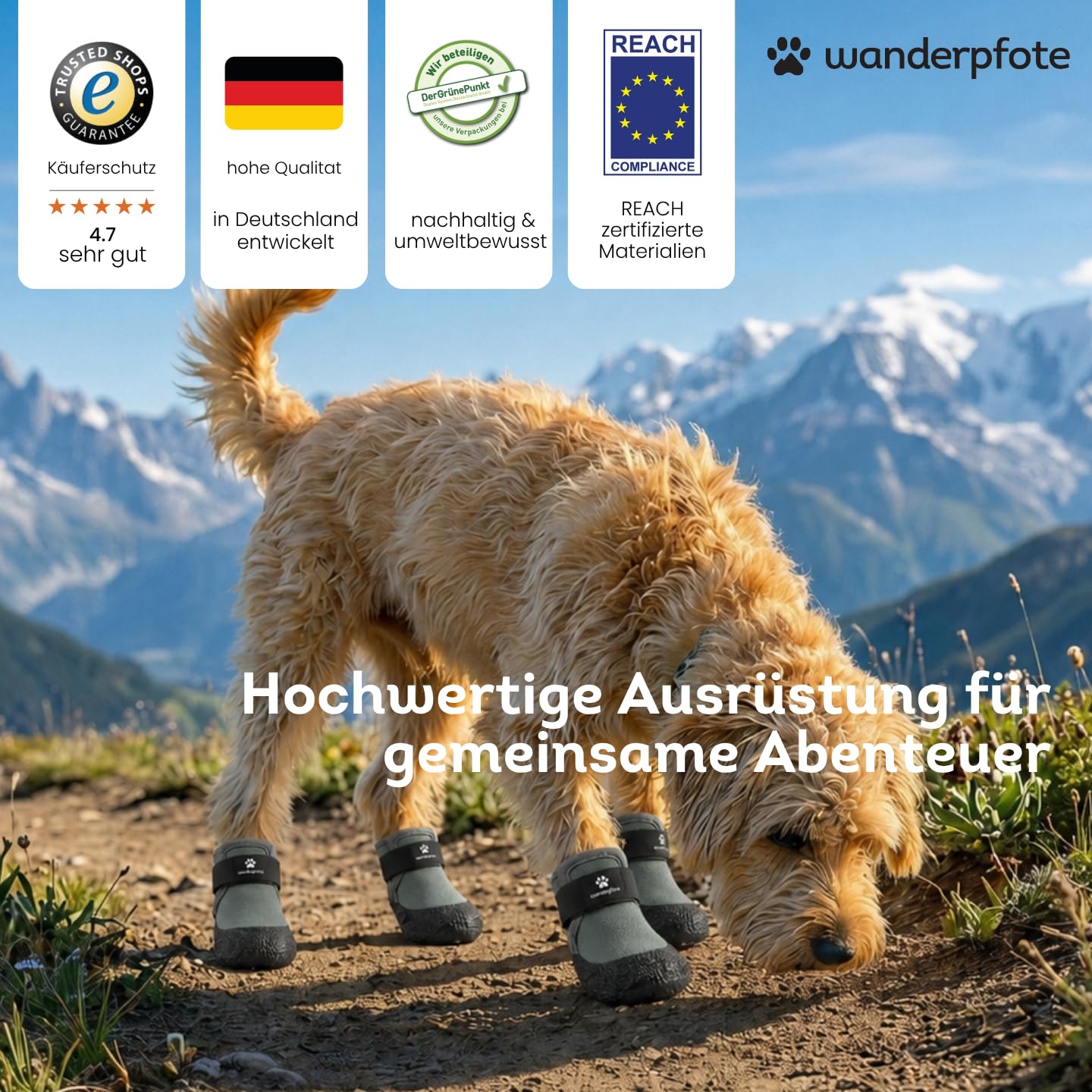Active Hundeschuhe, 4er Set, Allwetter, rutschfeste Sohle, SBR und Naturkautschuk, Atmungsaktives Mesh, 7 Größen, Klettverschluss (Schwarz, 7)