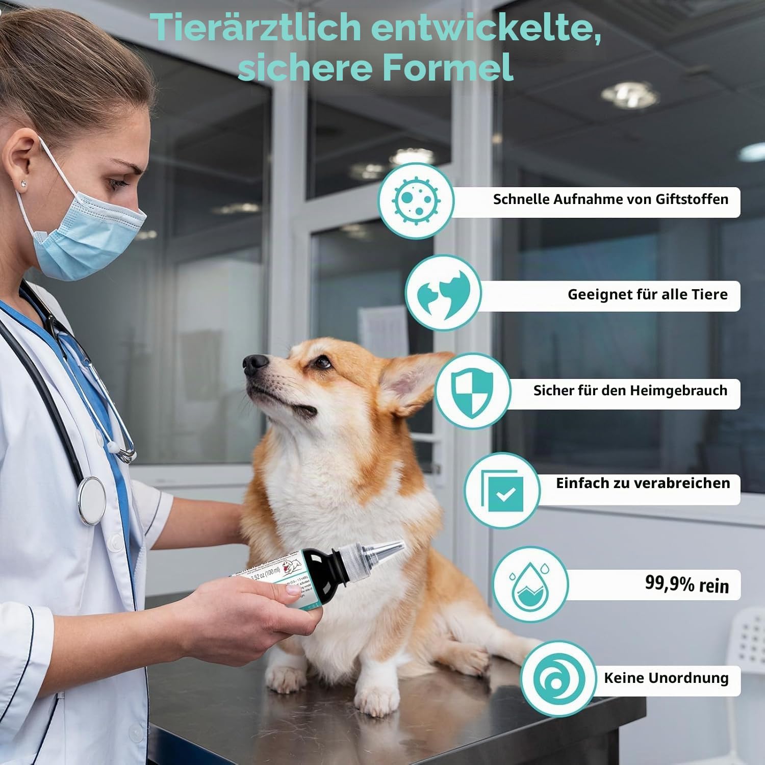 Aktivkohle Gel für Hunde gegen Vergiftung, 100ml Hund Erste Hilfe Aktivkohle, Schnell Absorbiert Giftstoffe Bereit Rettung für Hunde, Unterstützt Durchfall & Gasentlastung