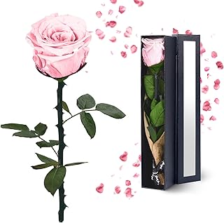 Pink Preserved Flowers Gifts for Women: Eternal Rose Birthday Christmas Anniversary for Mom Girlfriend Wife Grandma