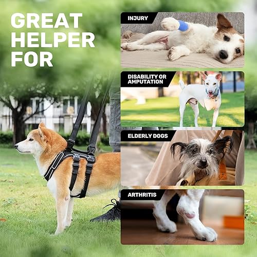 Miniatura 5 de Arnés de elevación para perros, arnés de apoyo y recuperación para perros pequeños, medianos y grandes, arnés de chaleco de elevación de