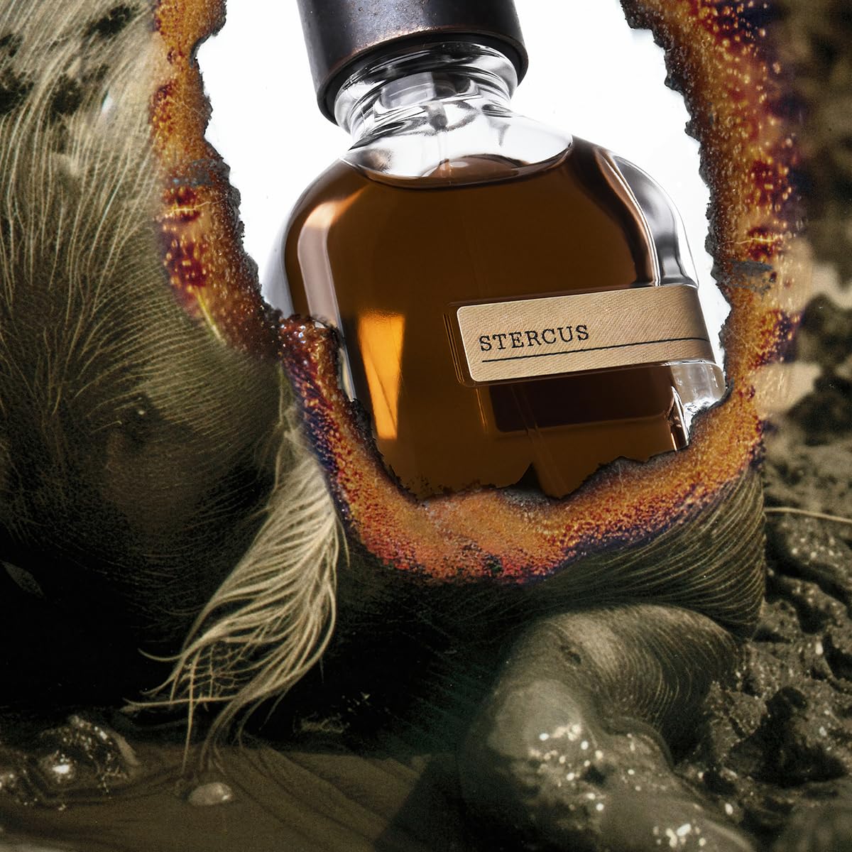 Orto Parisi Eau de Parfum Spray, Stercus, 1.7 Fl Oz - Image 5