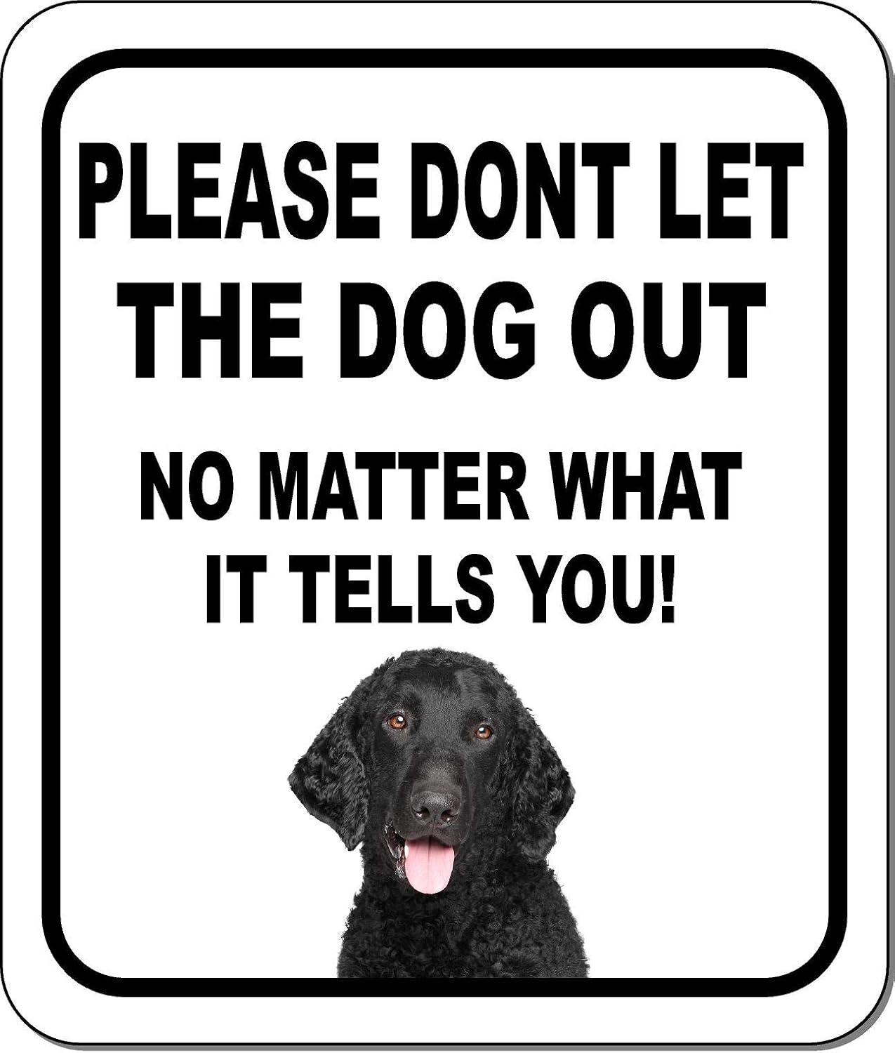 PLEASE DONT LET THE DOG OUT NO MATTER WHAT Rat Terrier Aluminum Composite Outdoor Sign 15" x18"