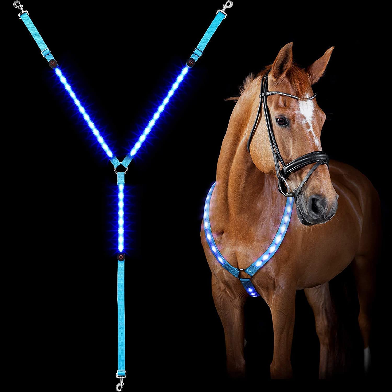 Plastron LED Pour Cheval - Collier De Sécurité Visibilité Nocturne - Taille Unique Réglable Bleu