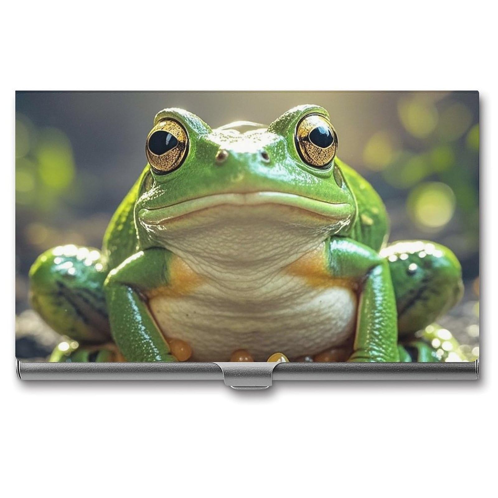 Btcowzrv Men's Style Cute Frog Business Card Holder Metal Slim Business Card Case, Pocket Card Holder For Wo Purse Name Card Holder Stainless Steel Wallet Credit Id Case For Office