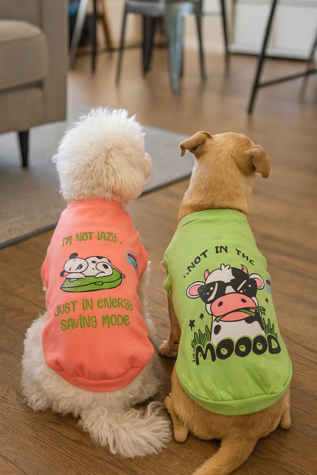 FETCHER Neon Peach and Mint Green Premium Dog T-Shirts for Dogs and Cats (Set of 2) (14" Small)