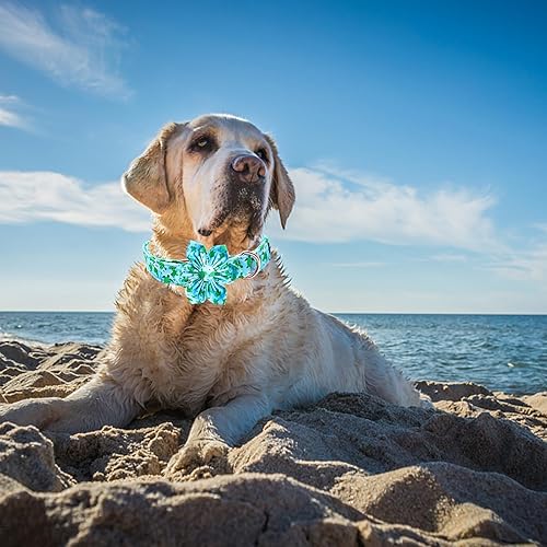 Miniatura 5 de Lionheart glory Collar de perro con flor, collar de perro azul con flores, collar de verano para perro niño o niña, suave, duradero, ajustable,