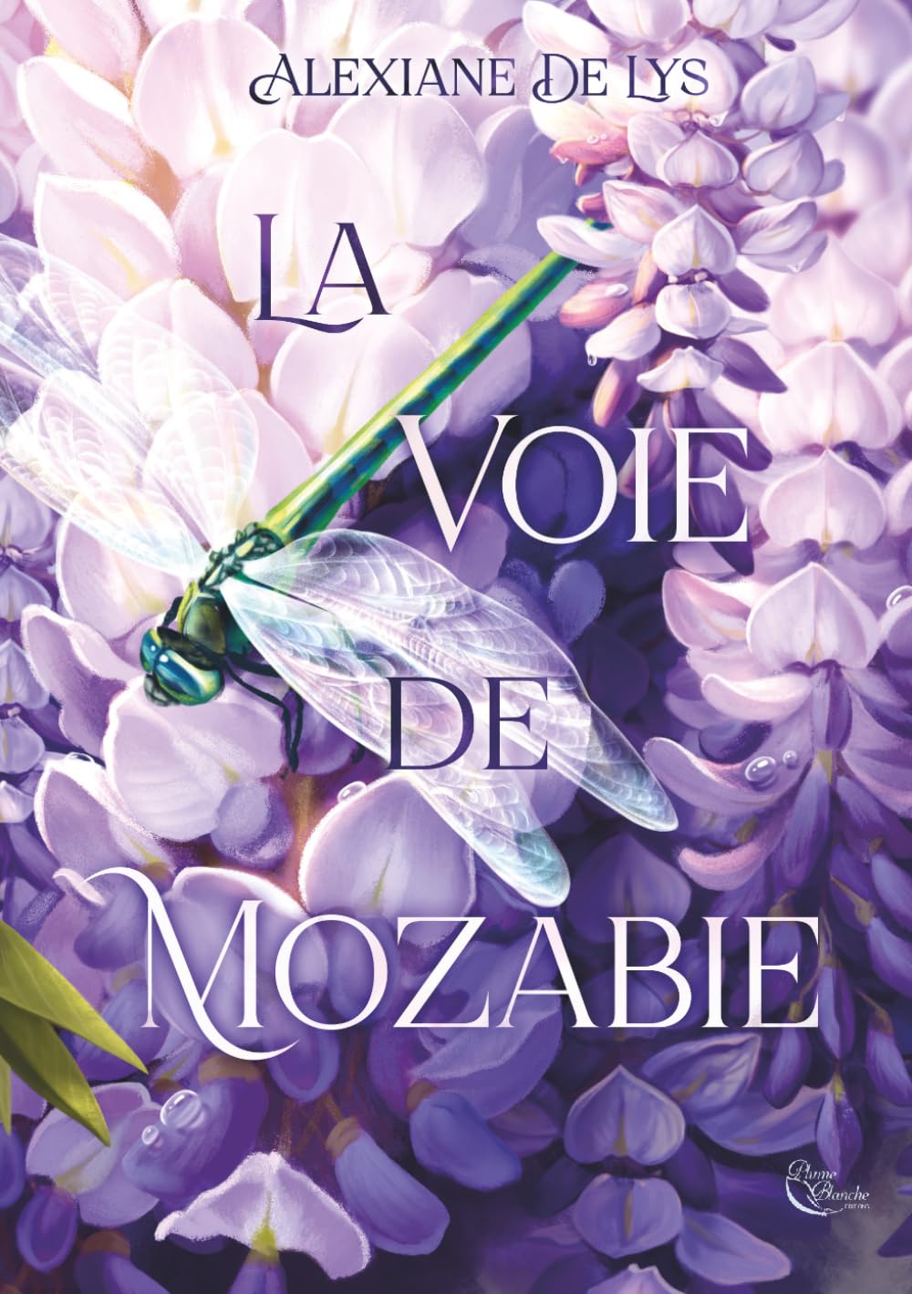 La Voie de Mozabie