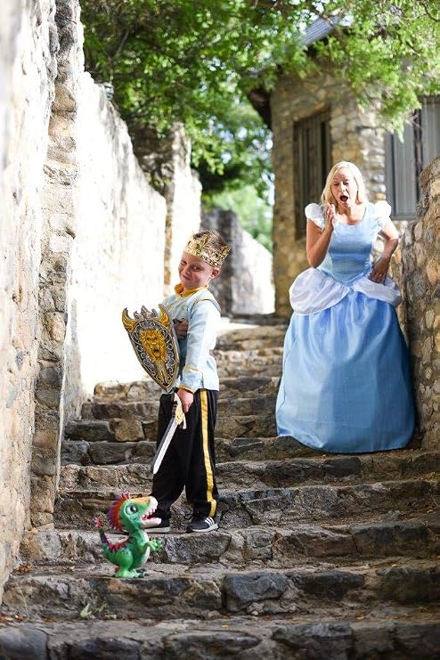 Little Adventures Foam Pretend Play Toy Shield & Sword Set (Prince)