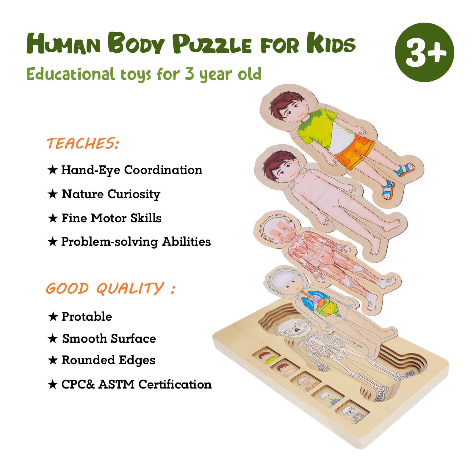 WOODENFUN Mein Körper Puzzle per bambini 3-5, Montessori Anatomia, Puzzle a strati per bambini in età prescolare e bambini dai 3 anni in su (ragazzi)