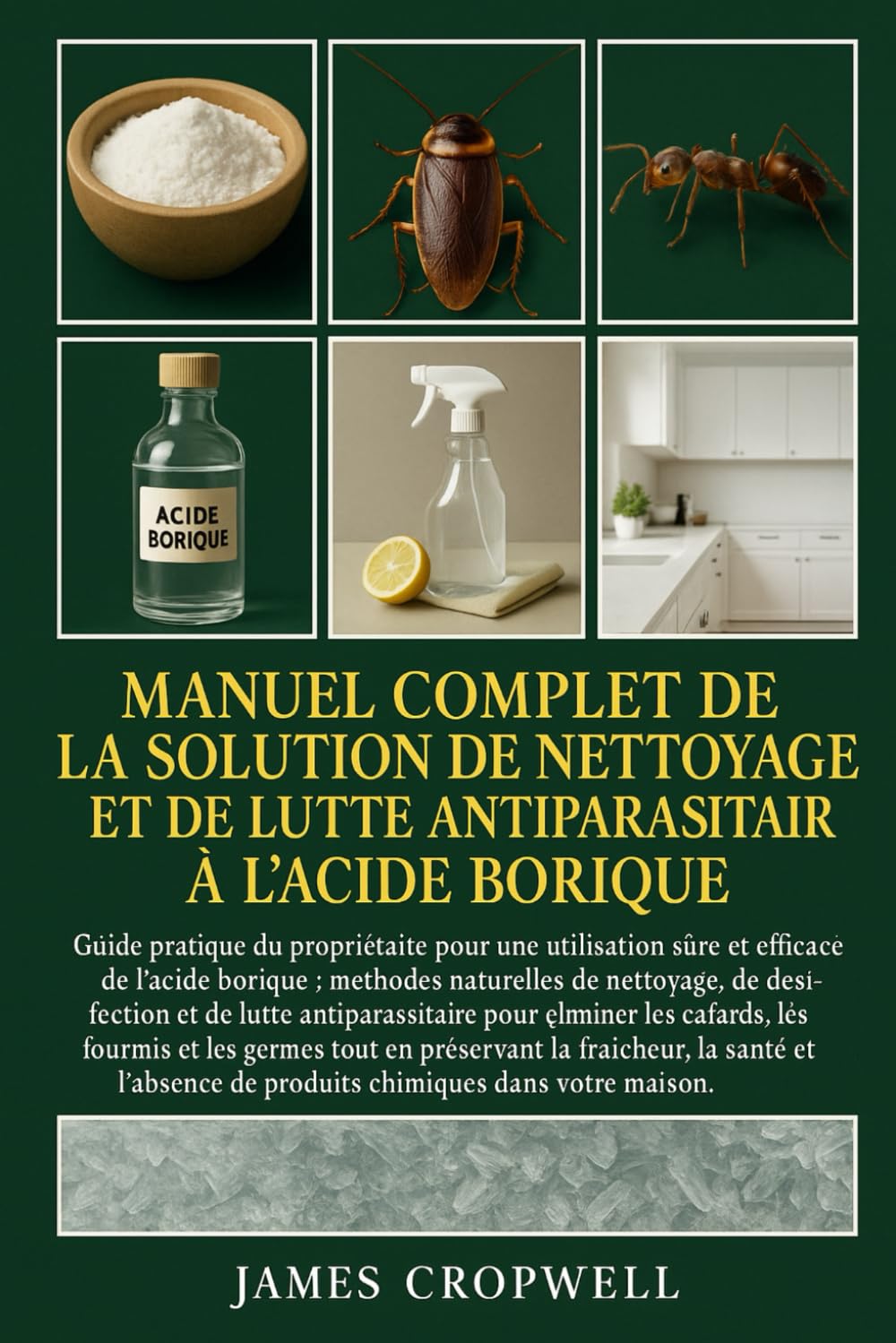 Manuel Complet De La Solution De Nettoyage Et De Lutte Antiparasitaire À L'acide Borique: Guide pratique du propriétaire pour une utilisation sûre et ... de produits chimiques dans votre maison.