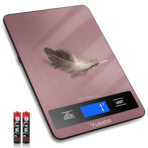 Báscula digital de cocina, báscula de precisión para cocinar y hornear (precisión de 0.05 onzas), acero inoxidable impermeable con pantalla LCD,