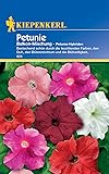 Kiepenkerl Petuniensamen Balkon-Mischung 823 f&uuml;r 40 Pflanzen &bull; Bl&uuml;hfreudige Mischung