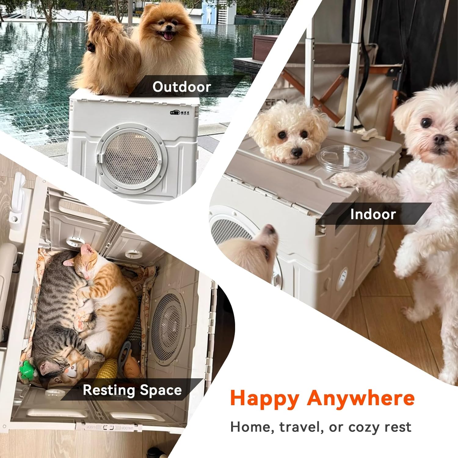Collapsible Hard-Shell Pet Carrier for Cats Small Dogs, Airline Approved Foldable Portable Travel Crate with Wheels for Kittens Puppies (Pale Gray,L)