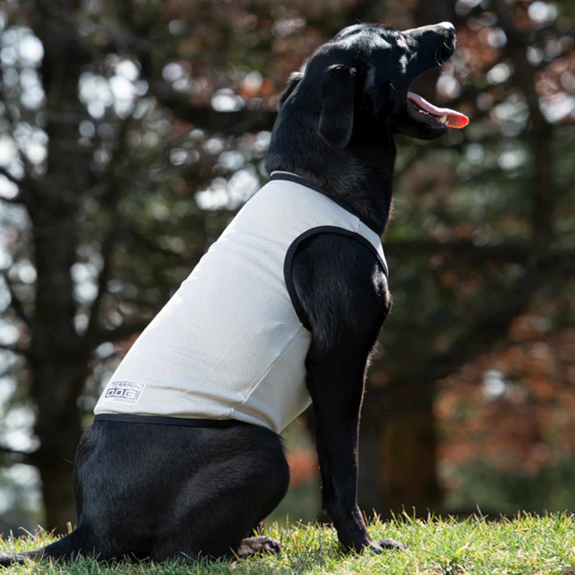 Terrain Dog Cooling Vest - Cooling Fabric Powered by Coolcore Technology