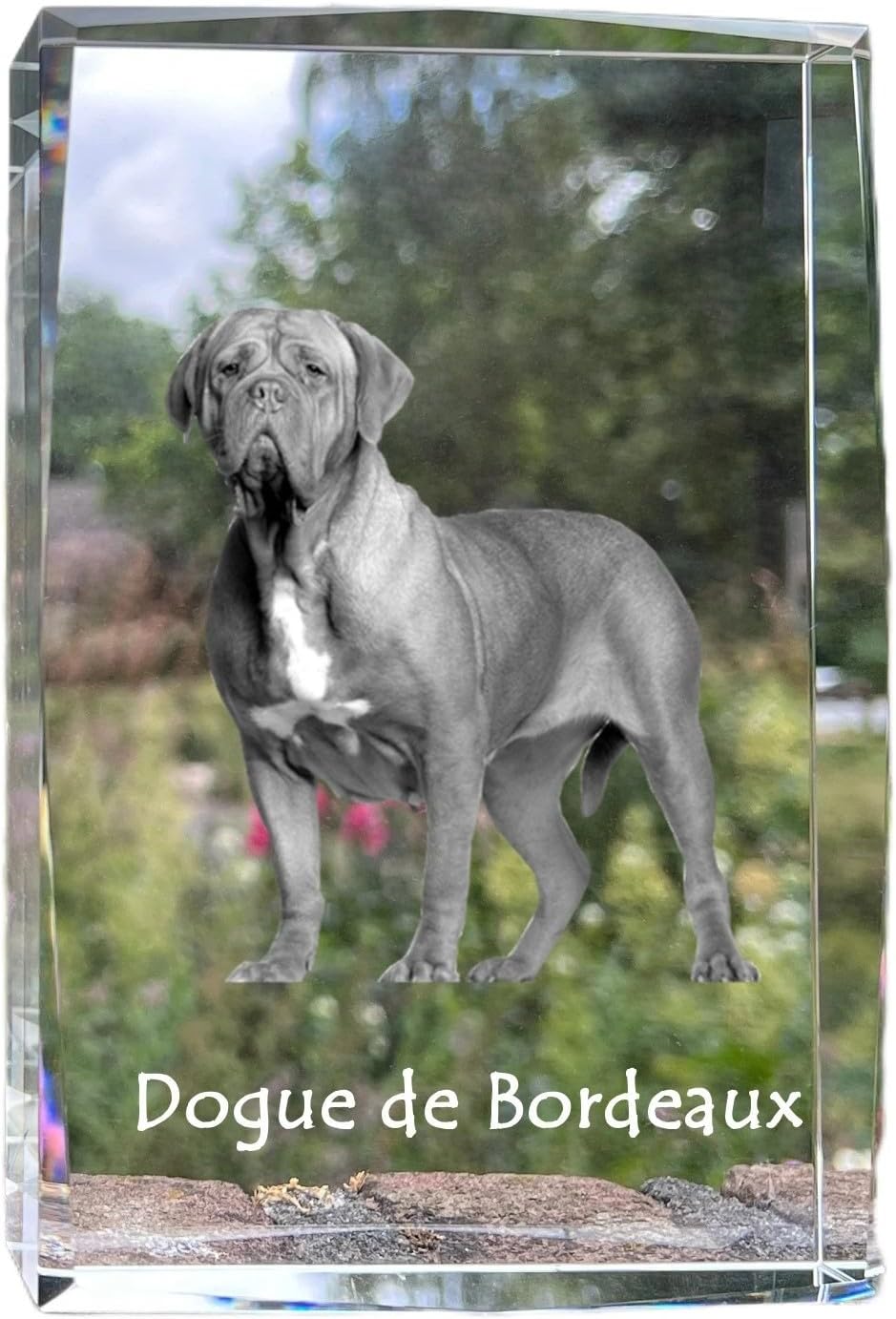 Art-Dog Crystal with a Photo of a Dog, cat or Horse, Photo in Glass, Modern Photo Display, Personalized Gift idea