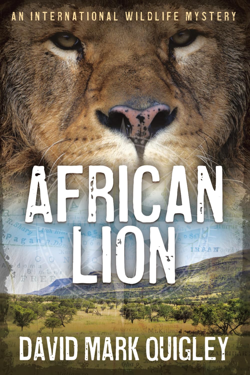 African Lion: An International Wildlife Mystery (African Series) Paperback – June 22, 2021