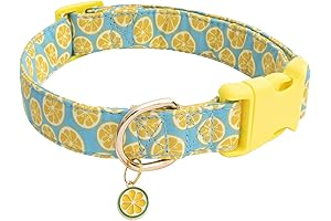 Personalized Dog Collar for Girls Boys, Summer Style Soft Pet Collar with Lemon Print