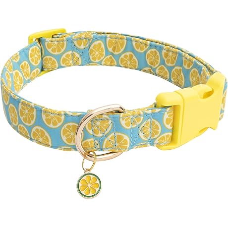 Personalized Dog Collar for Girls Boys, Summer Style Soft Pet Collar with Lemon Print
