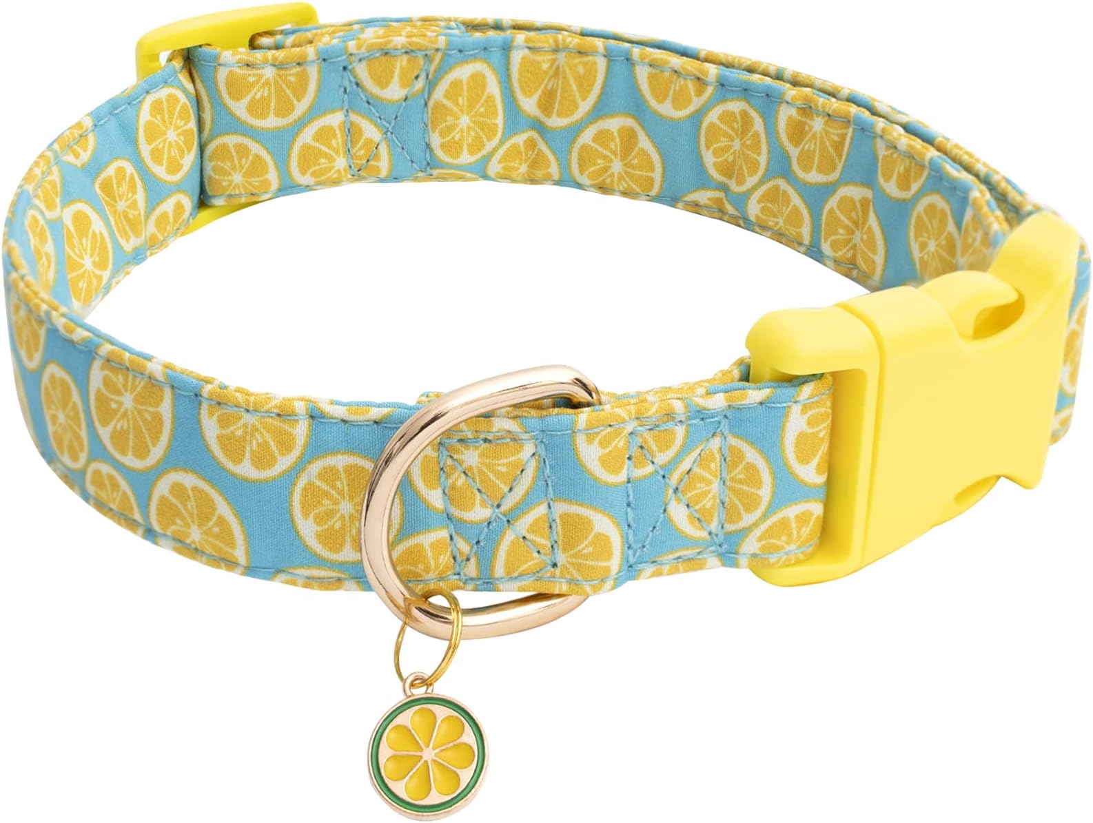 MR. CHUBBYFACE Spring Summer Dog Collar Cute Green Lemon Dog Collar Girl Boy Dog