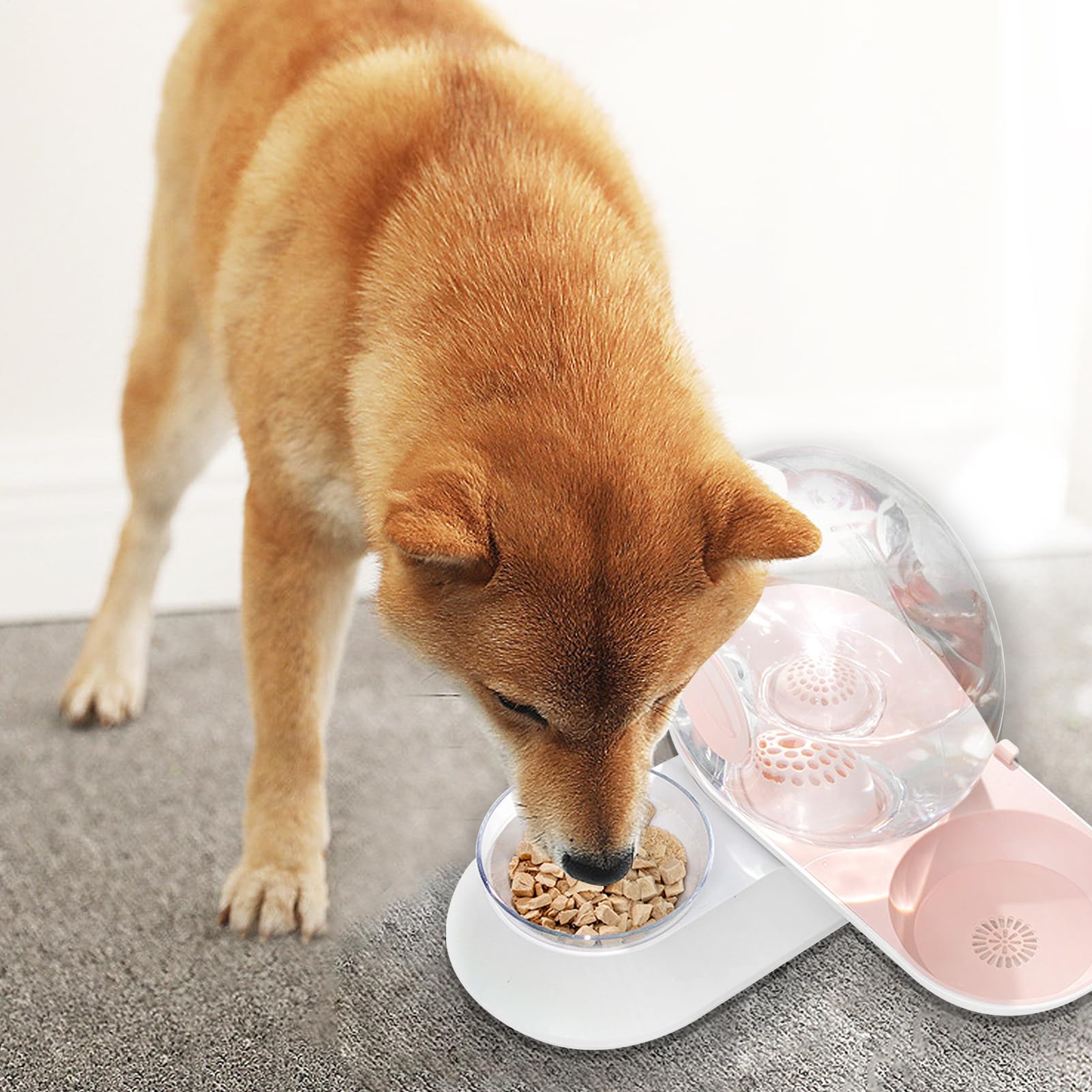 Bebedero para Gatos Bebedero de Sifón a Prueba de Derrames con para | Dispensador Automático de Agua para Perros para Cachorros Conejos Animales Todas las Razas