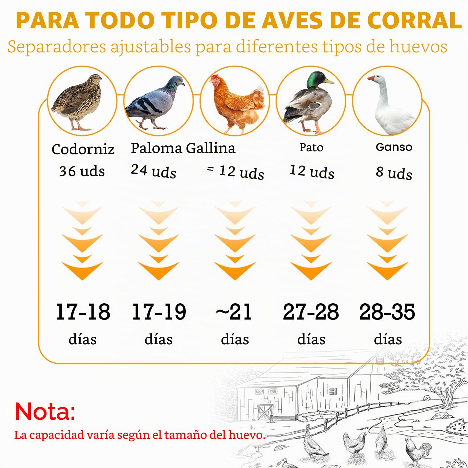 Incubadora de 12 huevos totalmente automática, incubadora de gallinas con suministro de agua automático y volteador de huevos automático, control de humedad, examinador de huevos para gallinas, patos