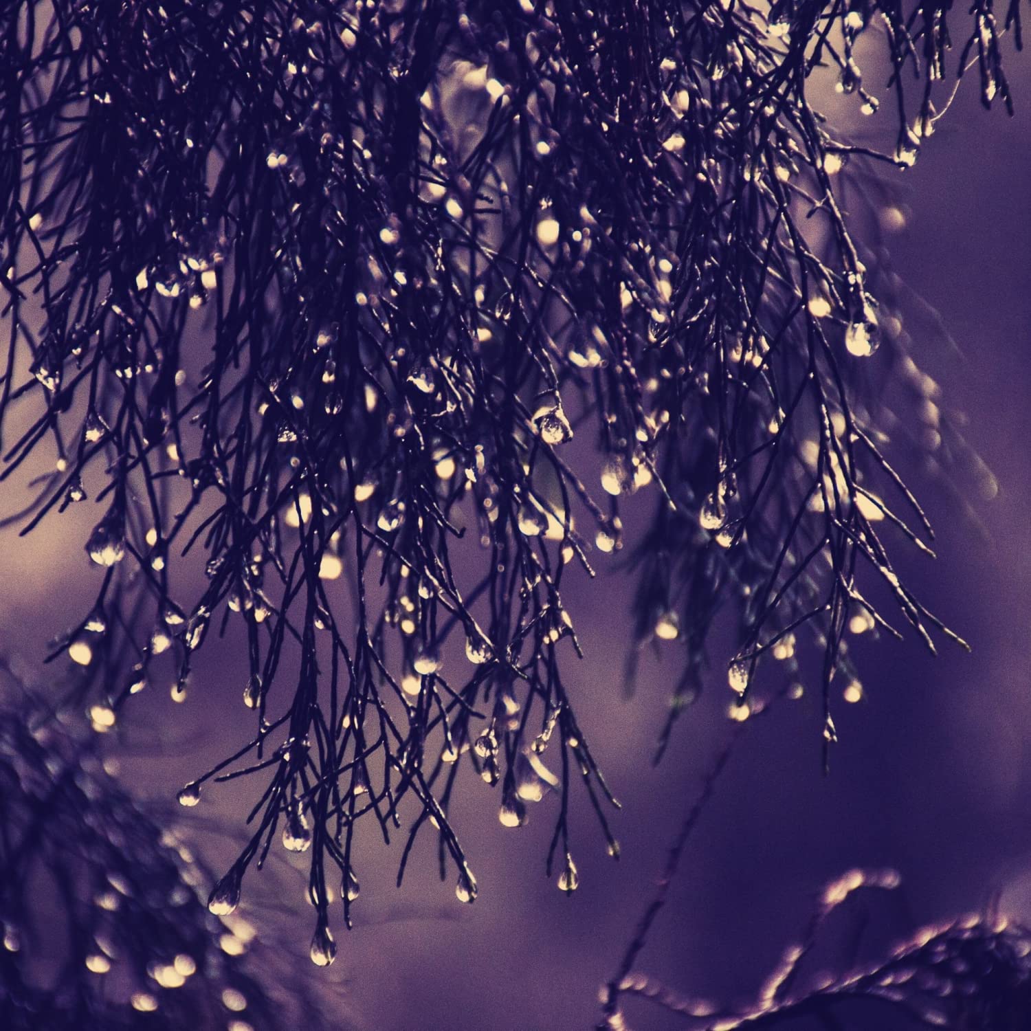 Cheerful Rain and Thunder Sounds