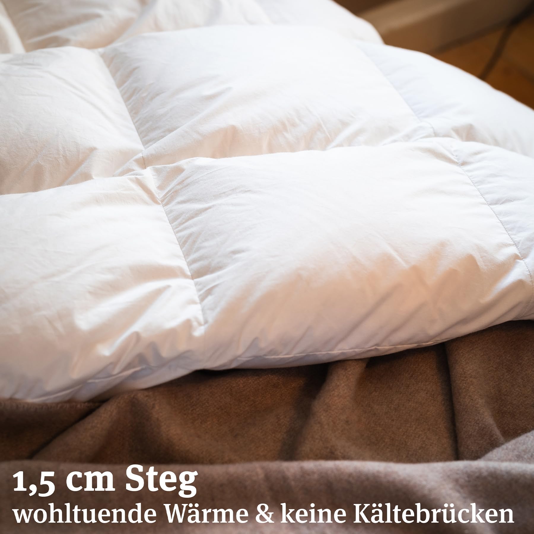 PARADIES Daunendecke 200x200 cm - Gabi 90 Ganzjahresdecke 200x200 cm | 90% Gänsedaunen + 10% Gänsefedern, Füllgewicht: 1.127g, Bettdecke 200x200 Daunen, Made in Germany, leicht & kuschelig