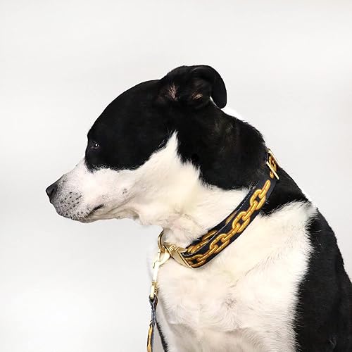 Miniatura 5 de Snoop Doggie Doggs Collar de lujo para mascotas sin cadena pequeño