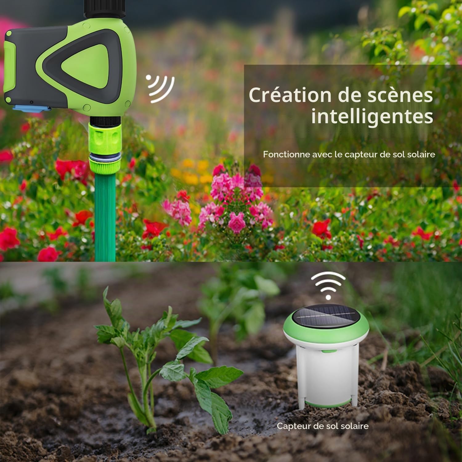 Ordinateur d'arrosage Wi-FI : minuteur d'arrosage Intelligent avec Application Tuya, délai de Pluie, minuterie d'arrosage Automatique pour Jardin et Balcon, Compatible avec Alexa et Google Assistant