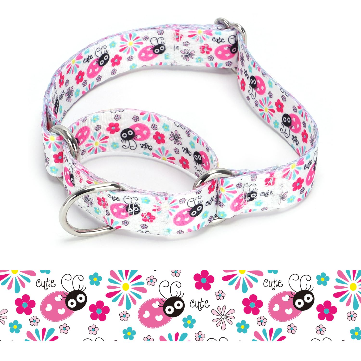 haoyueer Heavy Duty Nylon Adjustable Martingale Dog Collar for Walking Training Boy and Girl Dogs (A85NO8, M:36-45CM)