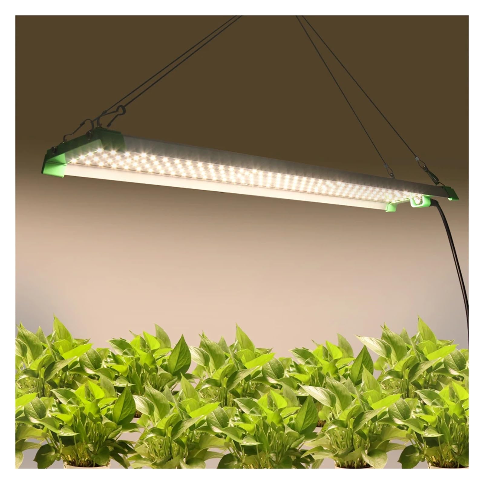 Lámpara de Cultivo, Luz LED de Cultivo LM282B, 85W, Espectro Completo, luz de Cultivo de Plantas for Invernadero, Semillas de Flores, Plantas, plántulas de Flores(QB85W56CMW)