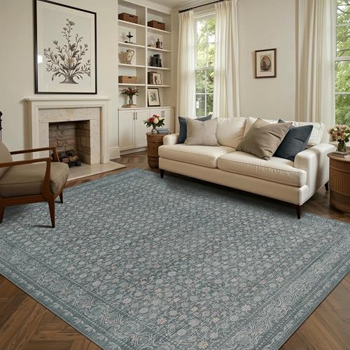 Area Rugs 5x7, Washable Rugs for Living Room, Light Blue