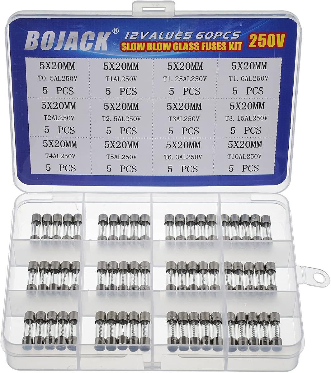 BOJACK 12 Values 60 pcs Slow Blow Glass Fuses Assortment Kit 5x20mm 250V T0.5A 1A 1.25A 1.6A 2A 2.5A 3A 3.15A 4A 5A 6.3A 10A packag in a Clear Plastic Box