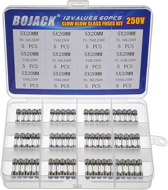 BOJACK 12 Values 60 pcs Slow Blow Glass Fuses Assortment Kit 5x20mm 250V T0.5A 1A 1.25A 1.6A 2A 2.5A 3A 3.15A 4A 5A 6.3A 10A packag in a Clear Plastic Box