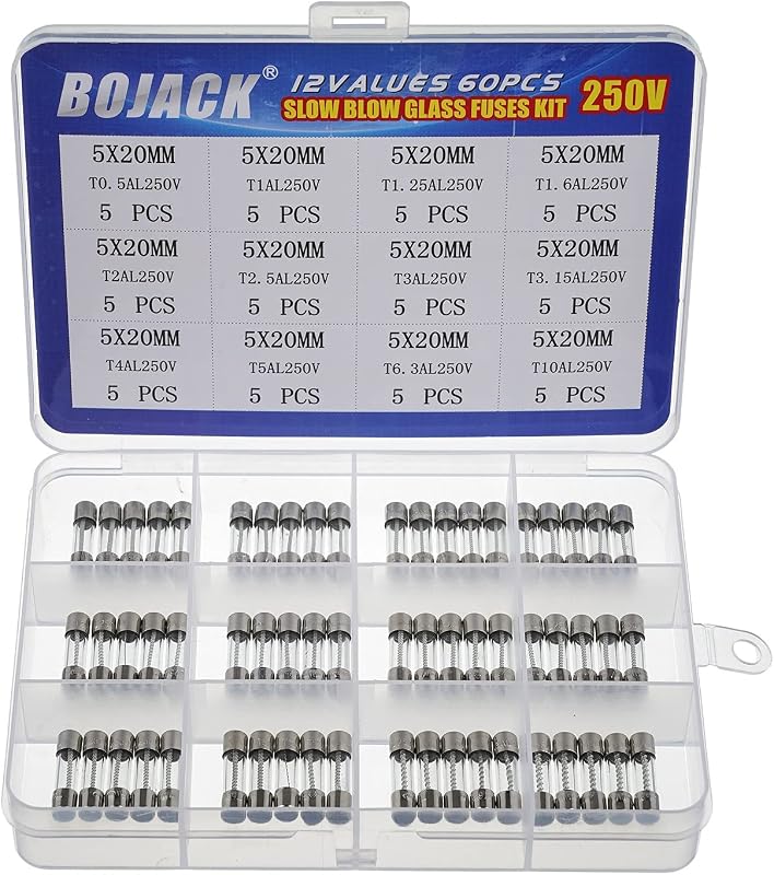 BOJACK 12 Values 60 pcs Slow Blow Glass Fuses Assortment Kit 5x20mm 250V T0.5A 1A 1.25A 1.6A 2A 2.5A 3A 3.15A 4A 5A 6.3A 10A packag in a Clear Plastic Box